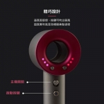 Dyson 仿真吹風機/直髮器玩具