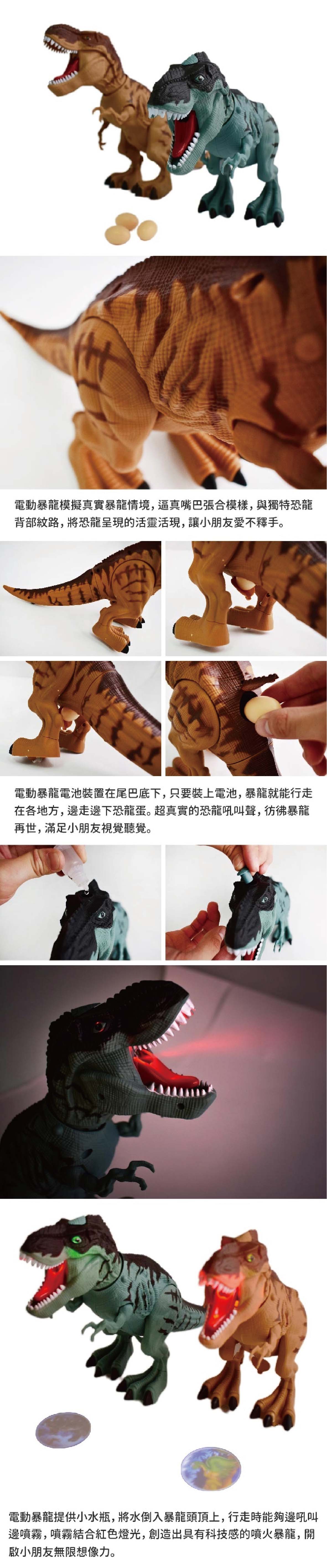 proimages/product/00026116_電動暴龍玩具-02.jpg