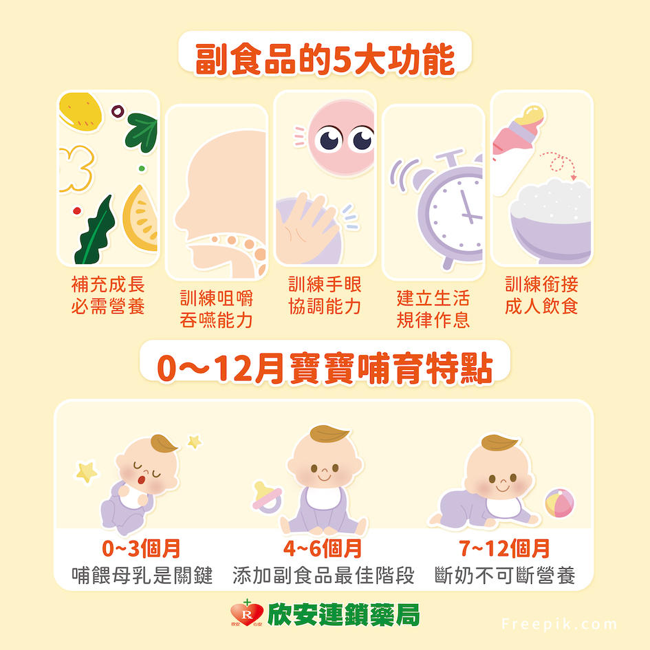 寶寶；食物；副食品；育兒；營養