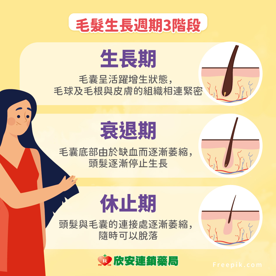 proimages/shinanhealth/20241125落髮/頭髮掉不停怎麼辦-03.jpg proimages/shinanhealth/20241125落髮/頭髮掉不停怎麼辦-03.jpg