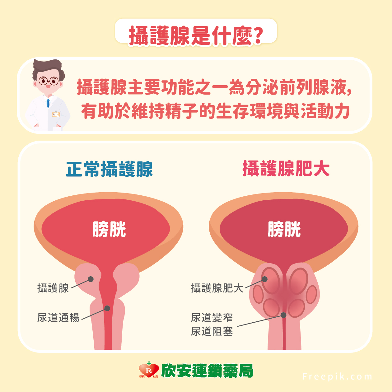 proimages/shinanhealth/20250924攝護腺肥大/攝護腺保養的五大要訣-02.jpg proimages/shinanhealth/20250924攝護腺肥大/攝護腺保養的五大要訣-02.jpg