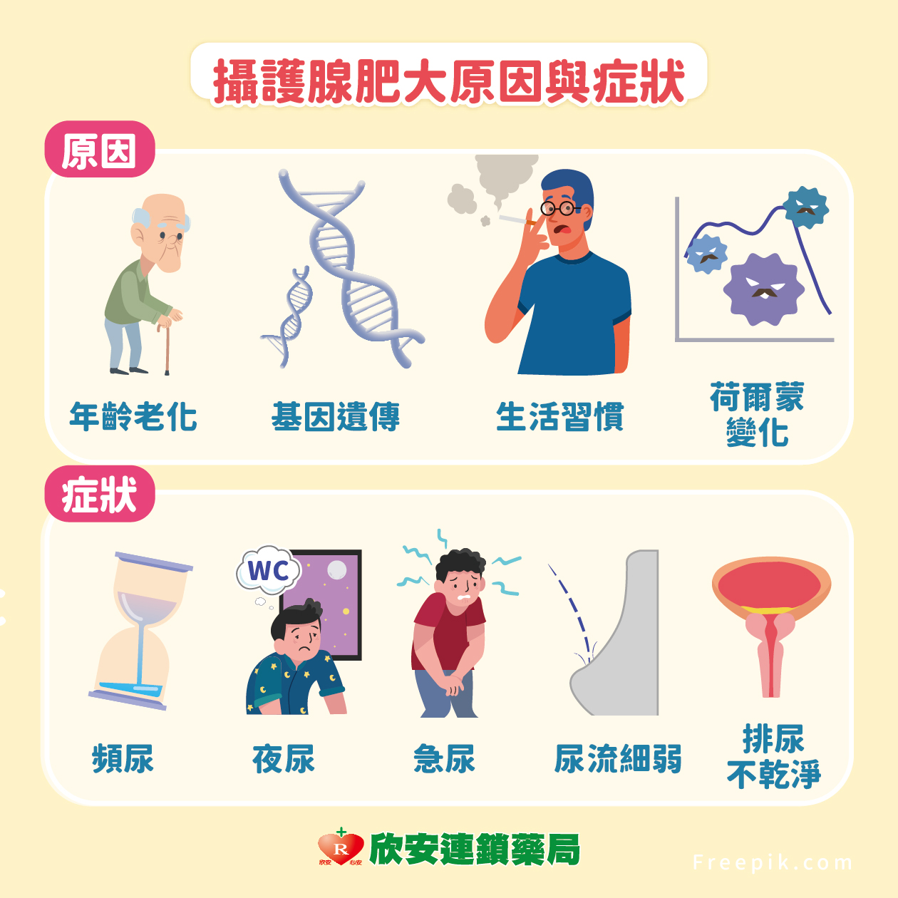 proimages/shinanhealth/20250924攝護腺肥大/攝護腺保養的五大要訣-06.jpg proimages/shinanhealth/20250924攝護腺肥大/攝護腺保養的五大要訣-06.jpg