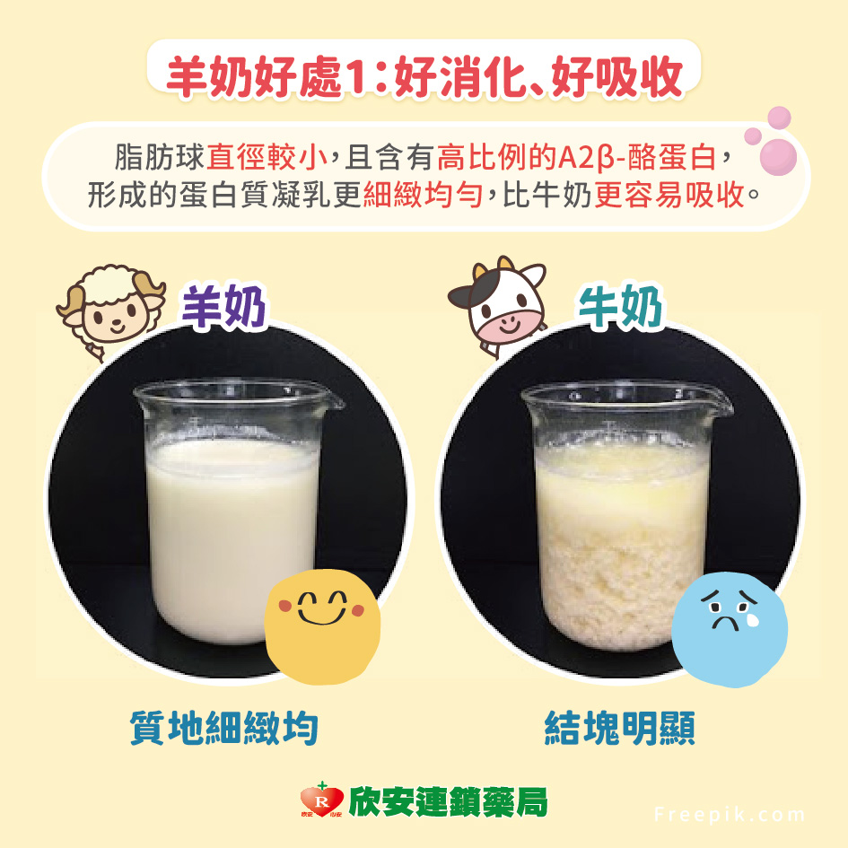 proimages/shinanhealth/20251202羊奶牛奶差異/羊奶牛奶差異-3.jpg proimages/shinanhealth/20251202羊奶牛奶差異/羊奶牛奶差異-3.jpg