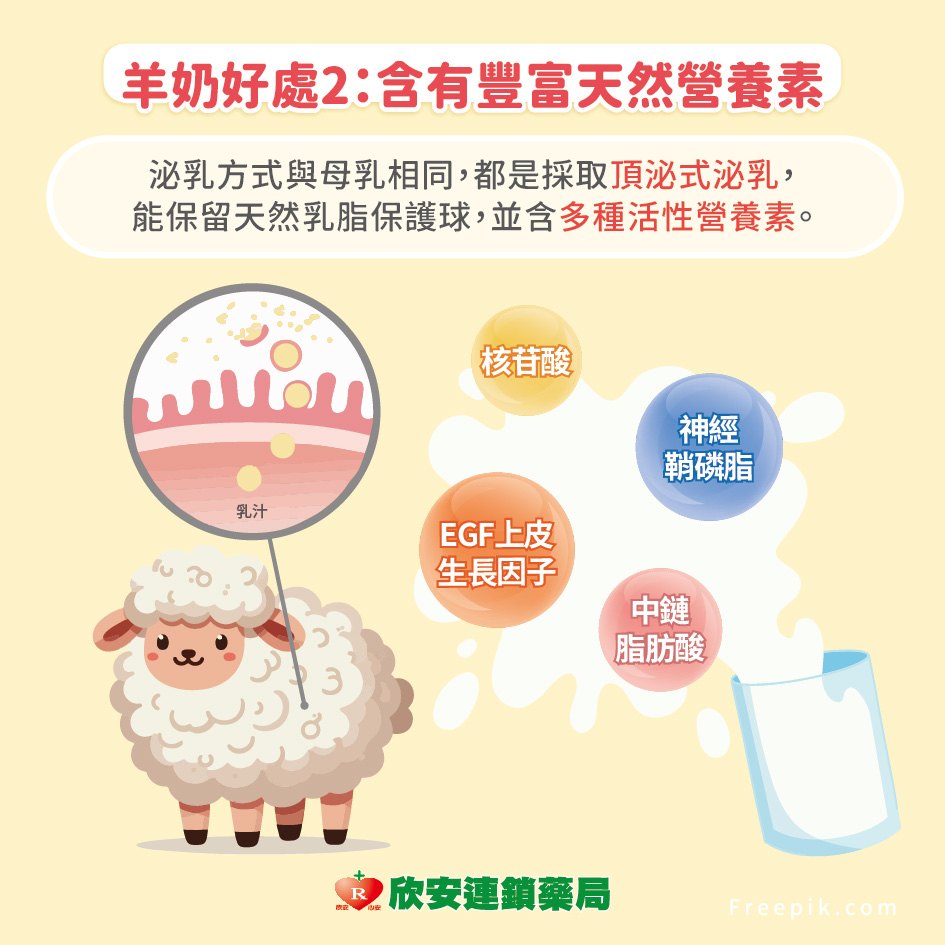 proimages/shinanhealth/20251202羊奶牛奶差異/羊奶牛奶差異-4.jpg proimages/shinanhealth/20251202羊奶牛奶差異/羊奶牛奶差異-4.jpg