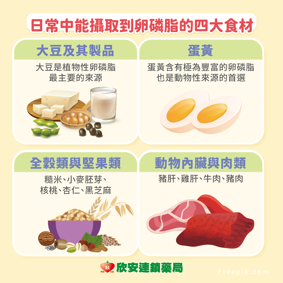 proimages/shinanhealth/20260610卵磷脂補充/卵磷補充-5.jpg