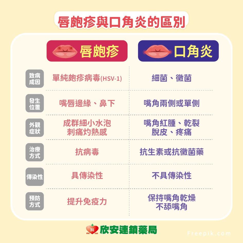 proimages/shinanhealth/20260812純皰疹口角炎/純皰疹-2.jpg proimages/shinanhealth/20260812純皰疹口角炎/純皰疹-2.jpg