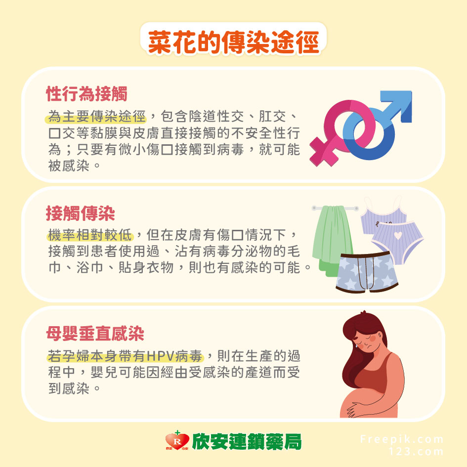 proimages/shinanhealth/20261014菜花/10月衛教學堂-破解菜花迷思-03.jpg proimages/shinanhealth/20261014菜花/10月衛教學堂-破解菜花迷思-03.jpg