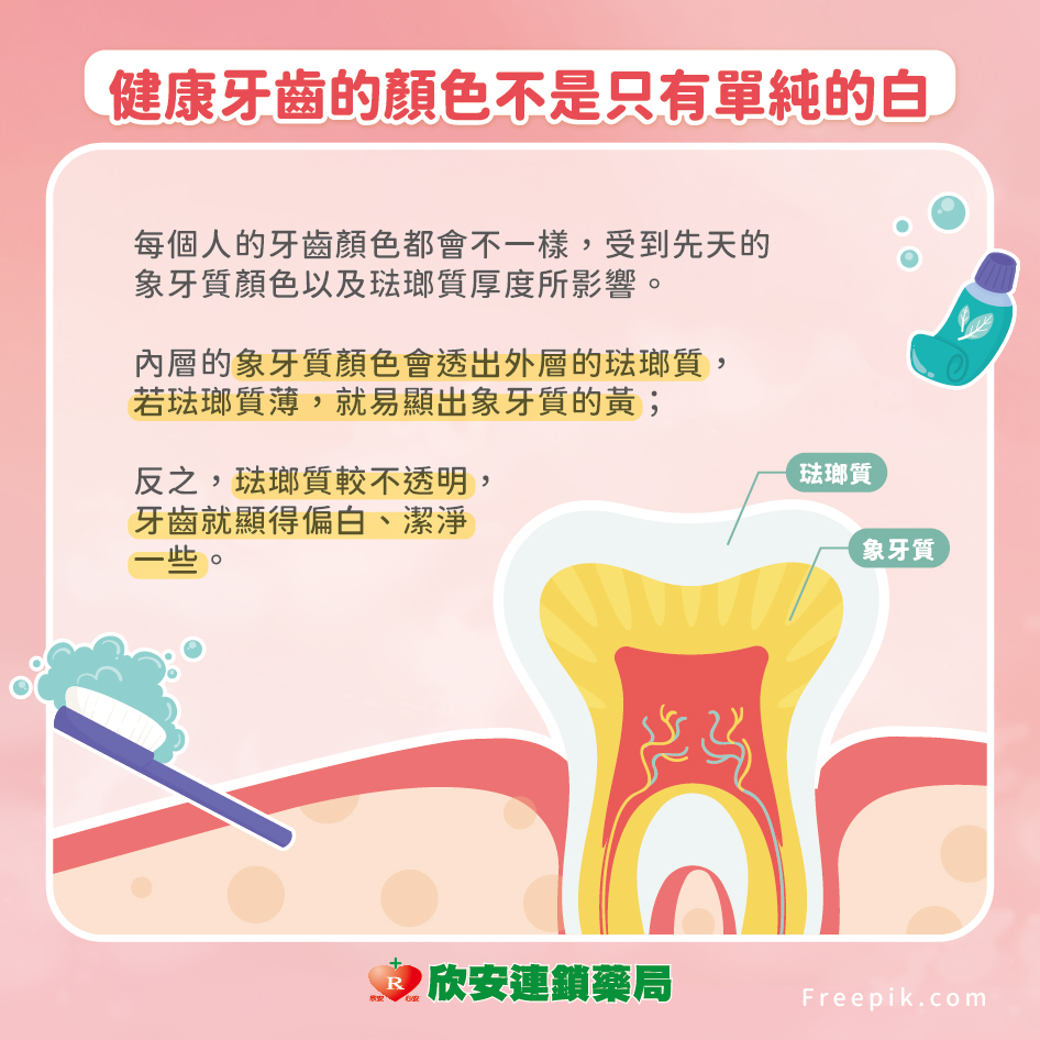 proimages/shinanhealth/牙齒黃/4月好物推薦-牙齒黃黃的怎麼辦_想維持牙齒亮白快檢視是否有這幾個壞習慣-03.jpg